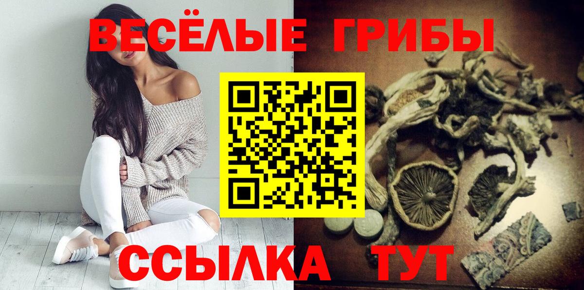 Псилоцибиновые грибы MAGIC MUSHROOMS  Галлюциногенные грибы мухоморы  Тулун  Вход с VPN 